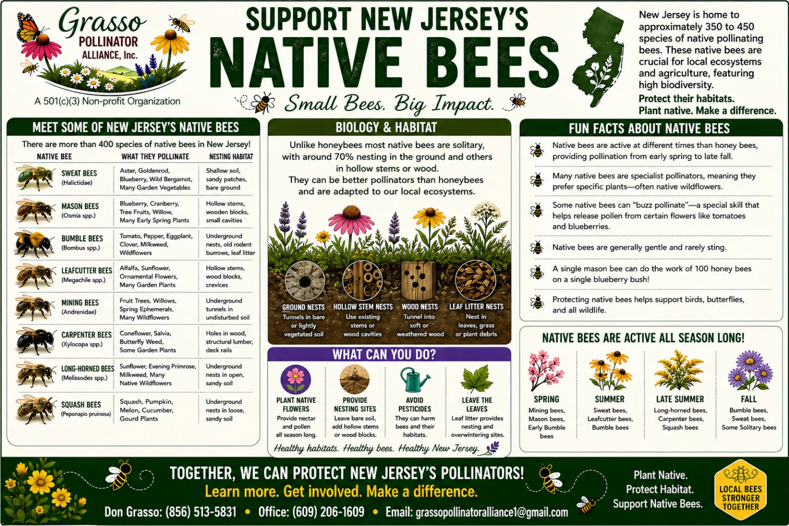 Chart of native bee species found in New Jersey