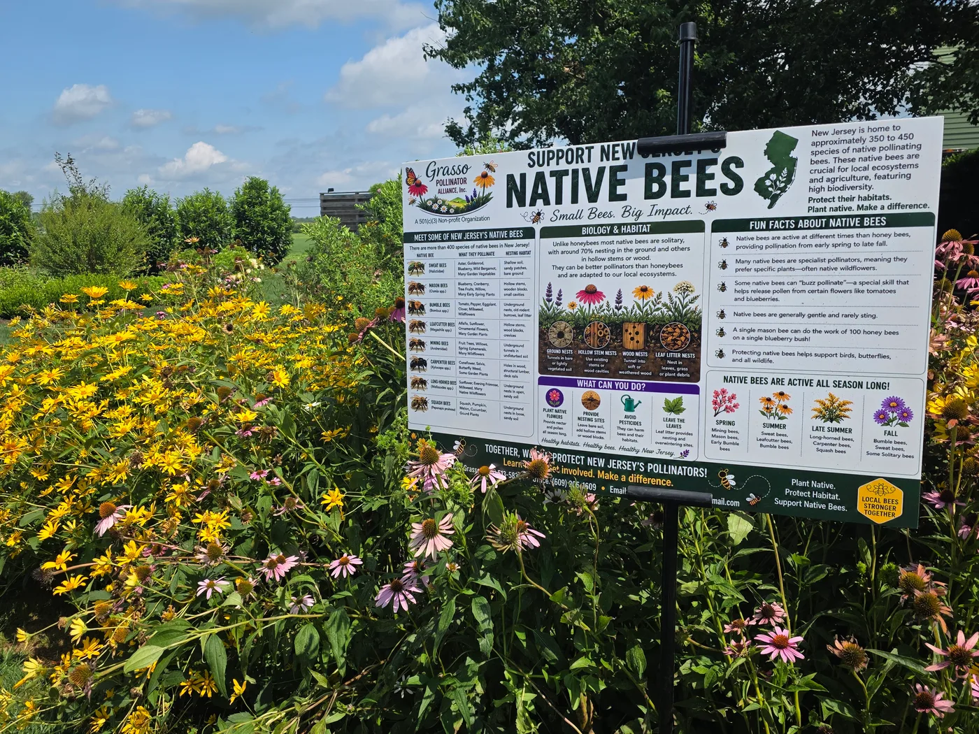 A Support New Jersey Native Bees educational sign standing in a blooming pollinator garden