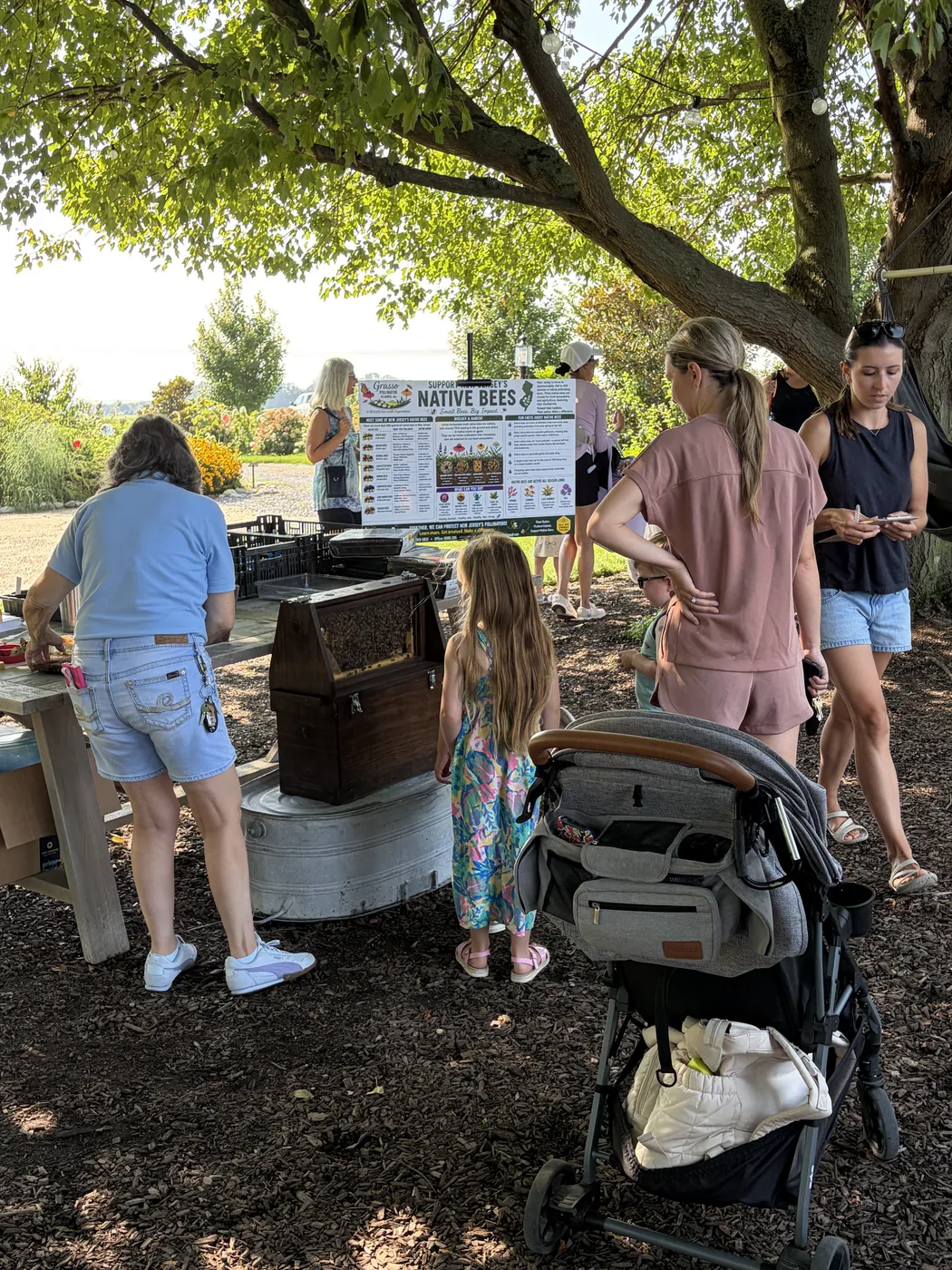 Families gathered around the observation hive under the shade tree
