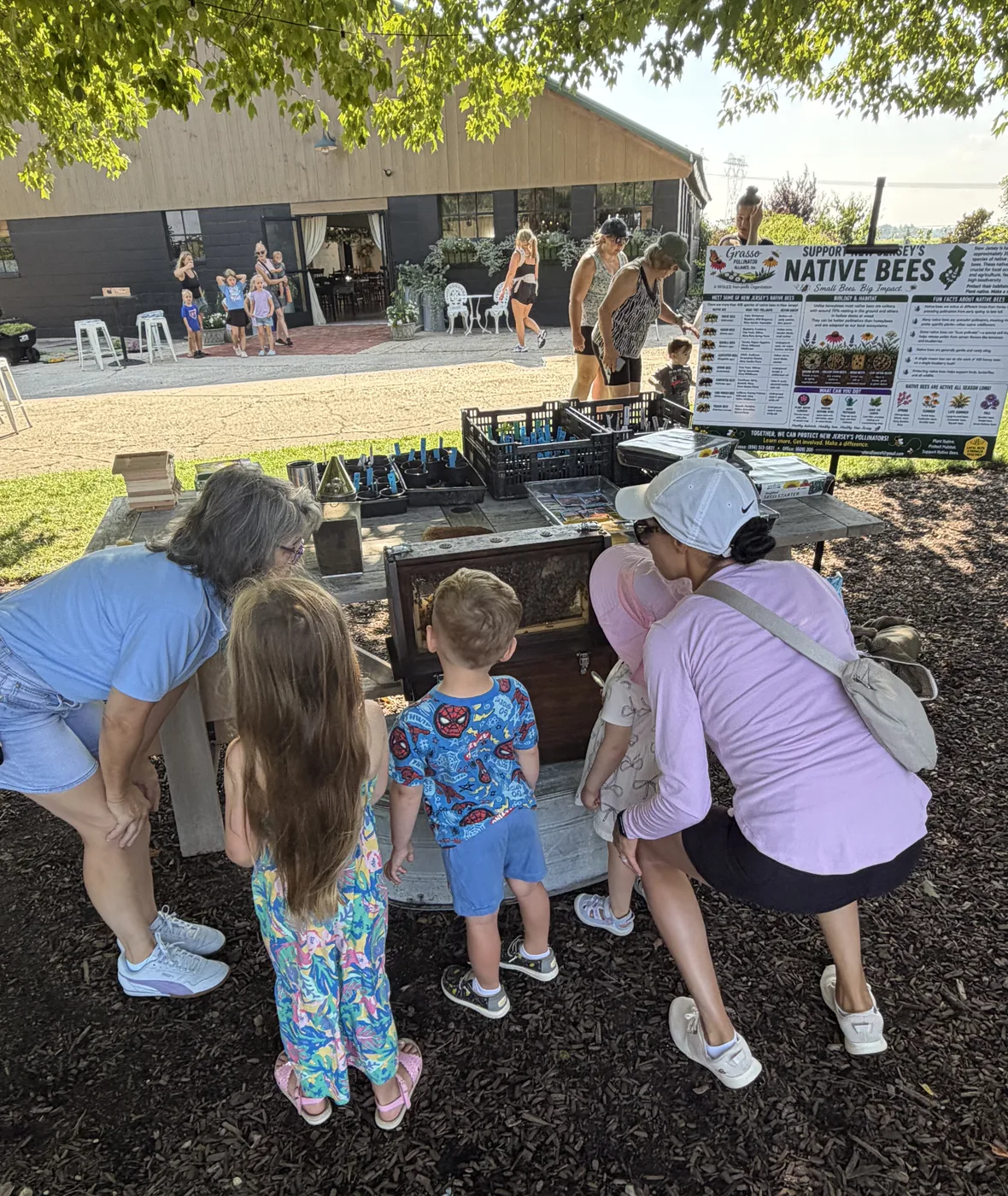 Families leaning in around the observation hive under a shade tree