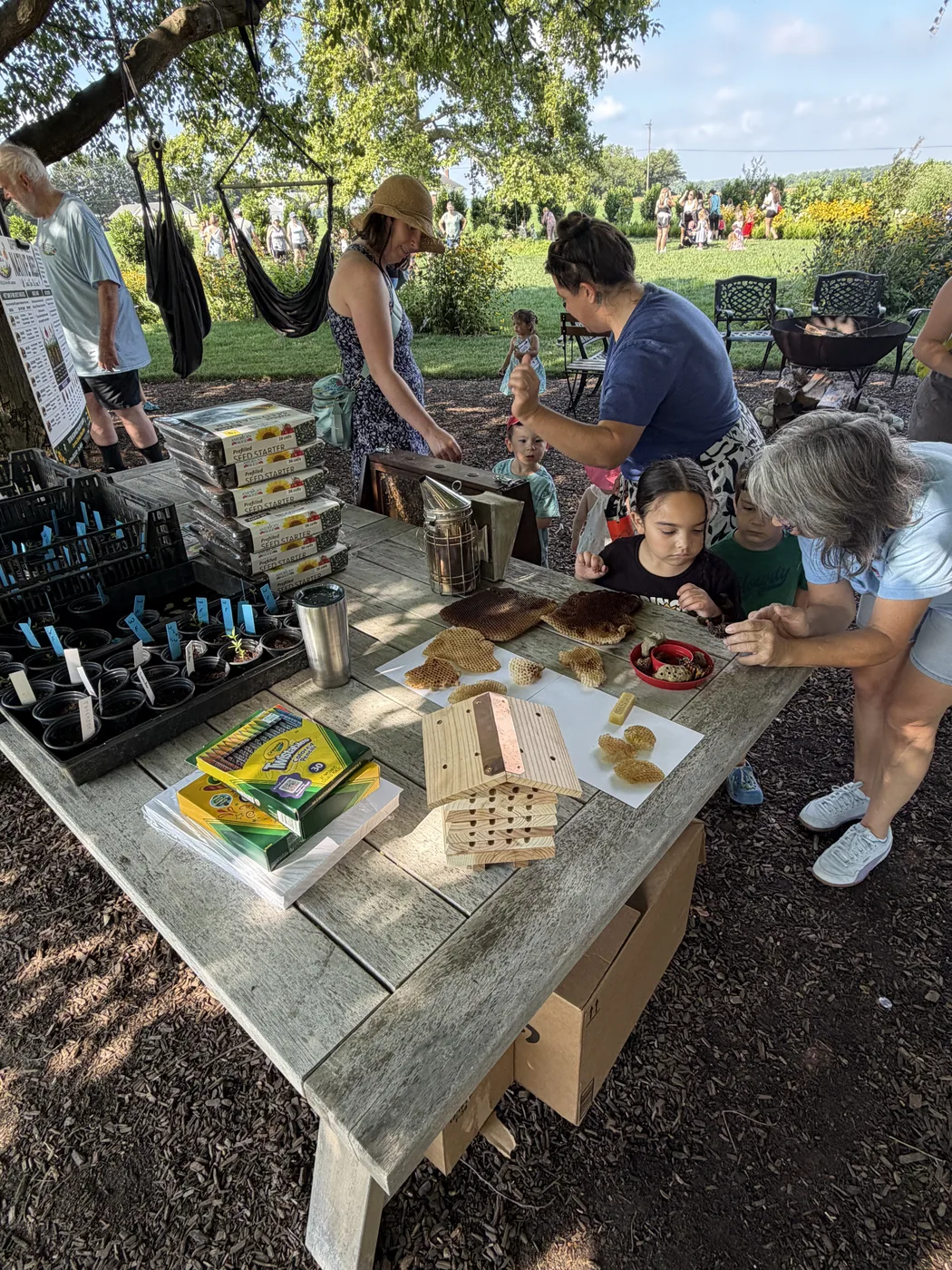 The display table laid out with hive equipment, bee boxes and honey