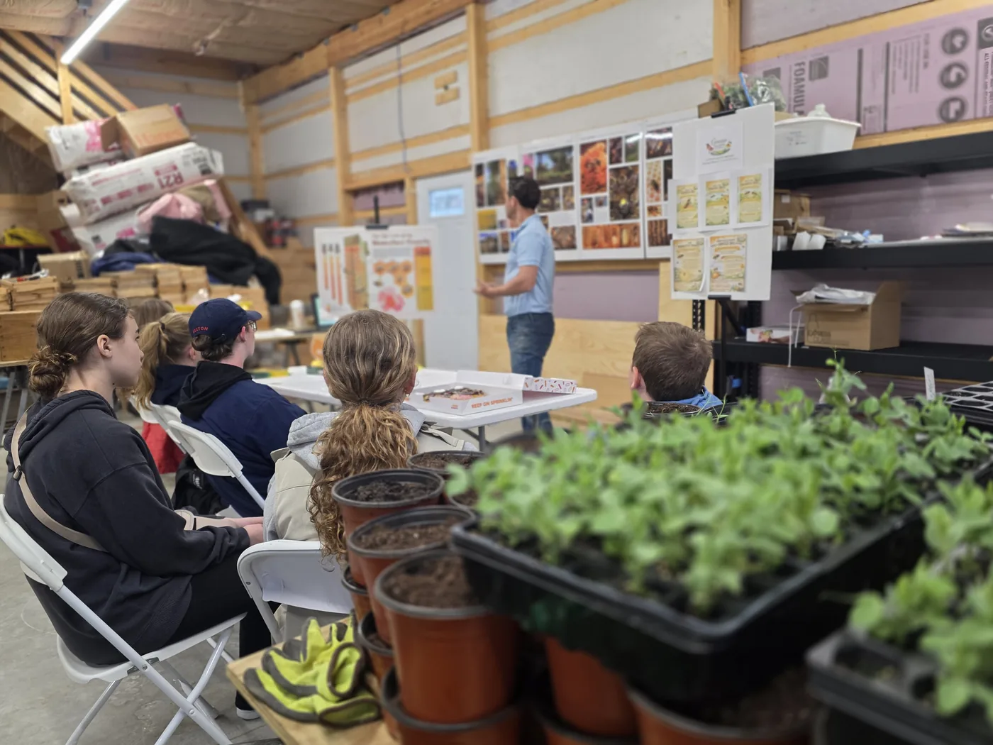 Scouts learning why bees and pollinators matter