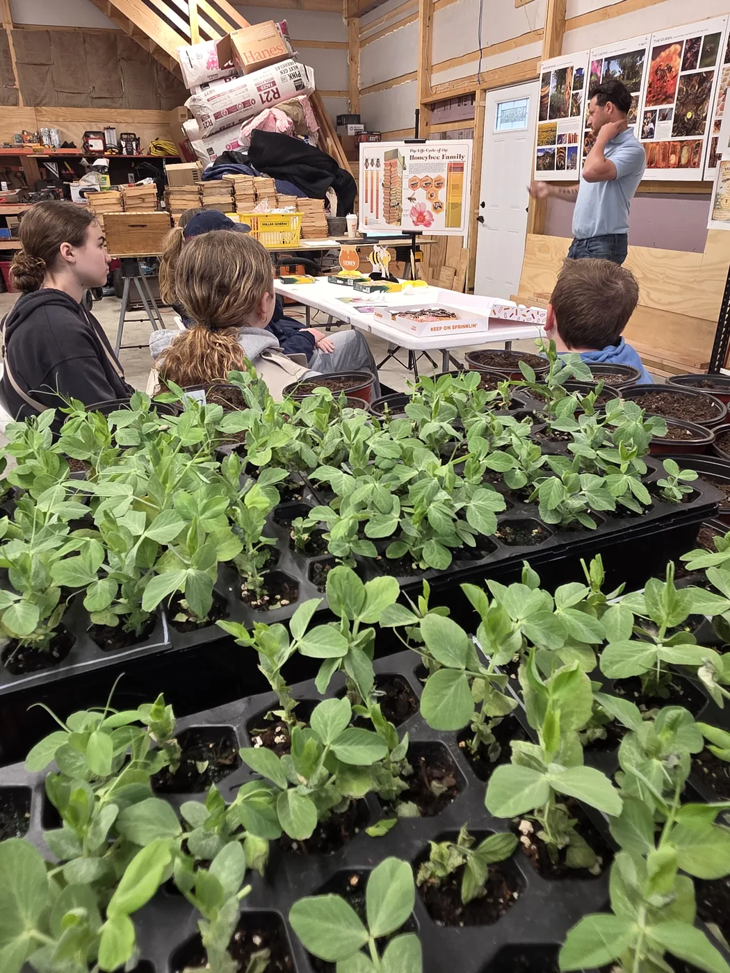 Native plants and pollinator facts shared with the scouts