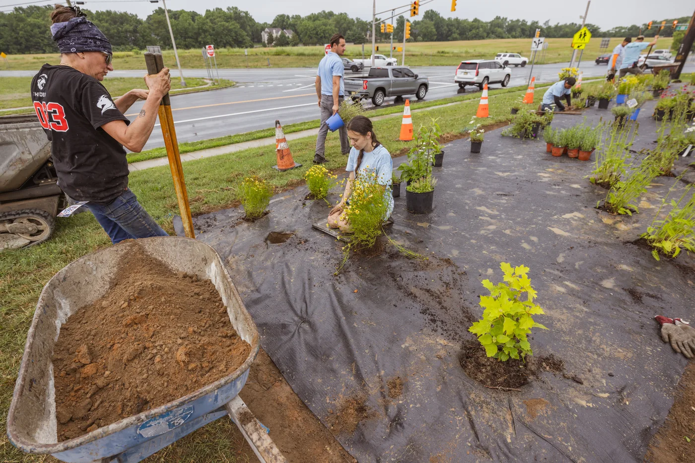 Volunteers planting native wildflowers along the roadside at the Kingsway pollinator garden install