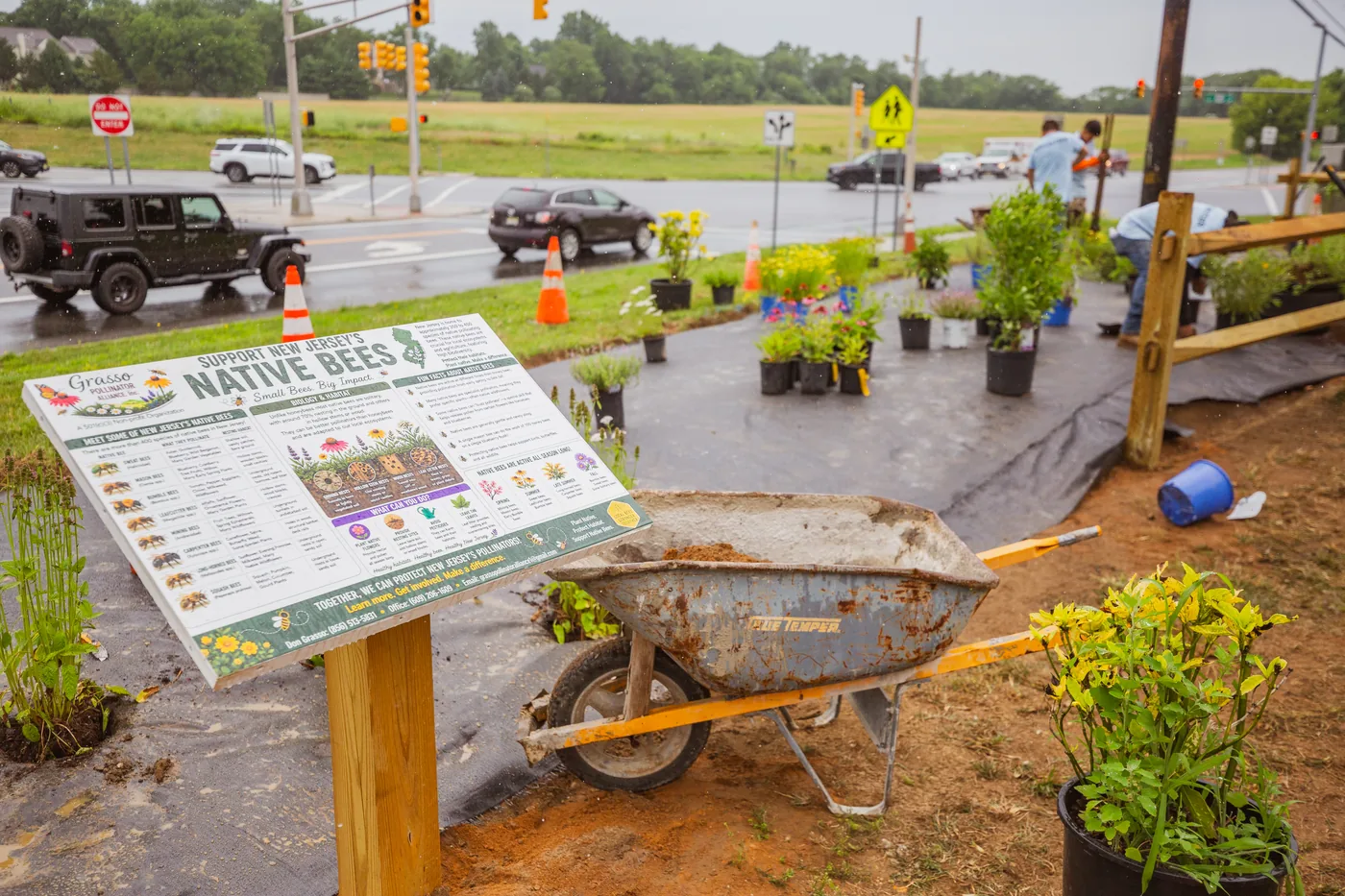 A native bees educational sign posted at the finished Kingsway garden bed