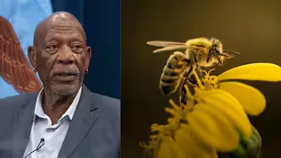 Morgan Freeman, who turned his 124-acre Mississippi ranch into a honeybee sanctuary, beside a honeybee on a flower