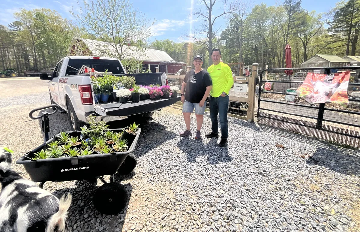 A truck bed and wheelbarrow full of donated pollinator plants at a local farm