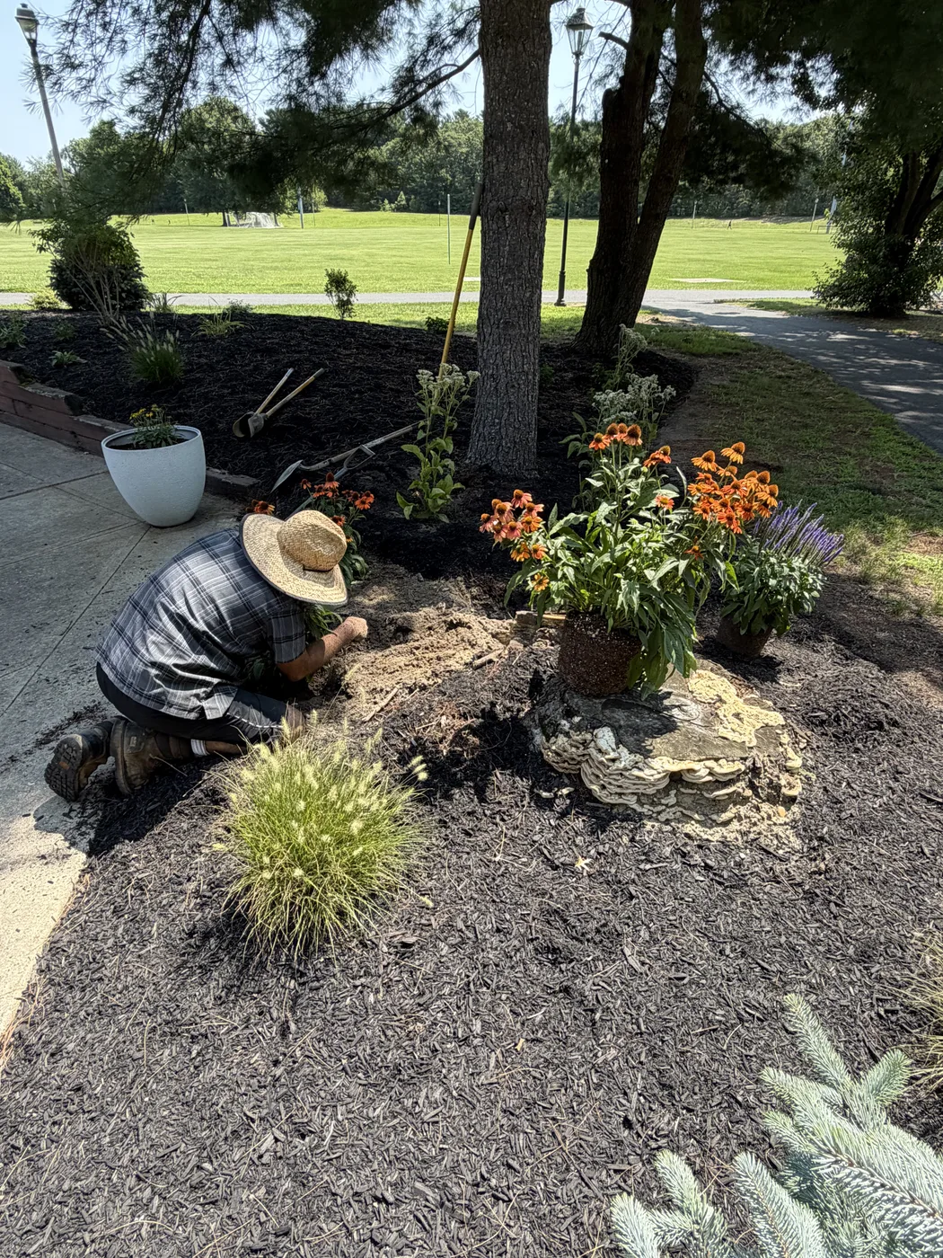 A volunteer in a straw hat kneeling to plant along the path beside the new bed