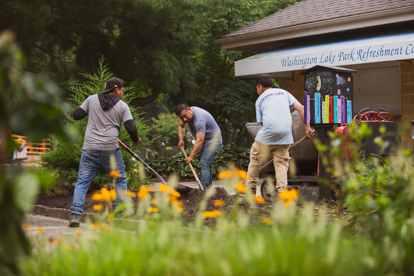 Volunteers digging and raking a new planting bed outside the Washington Lake Park refreshment complex