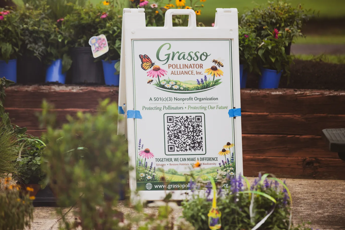 The Grasso Pollinator Alliance sign with its QR code, standing among the potted plants