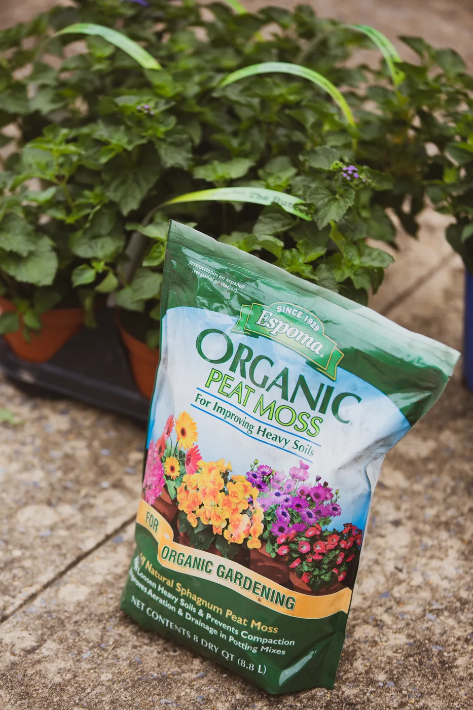 A bag of organic peat moss set beside the plants waiting to go in